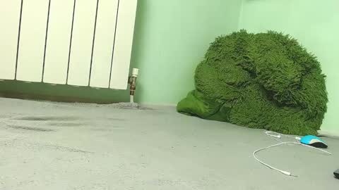 wow_devil online show from 27, 12, 2024