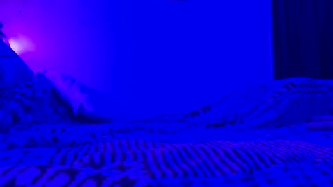 Snapshot of wowsers7 chatting on 7, 11, 2025 wowsers7 online show from 7, 11, 2025