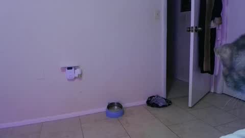 Crystal Lake online show from 30, 11, 2025