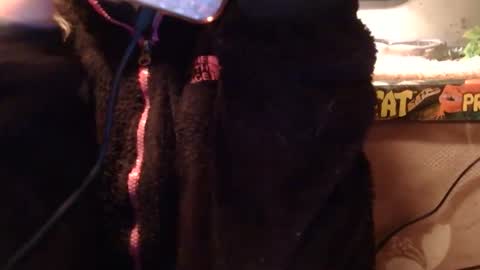 x2kayx2 online show from 10, 1, 2026