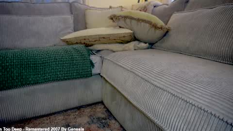 Lily online show from 4, 3, 2026