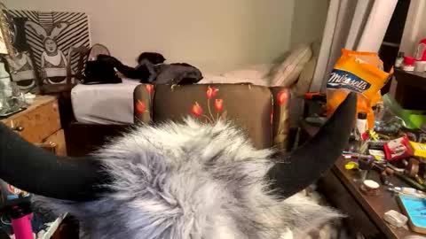 xander0zzz online show from 13, 3, 2026