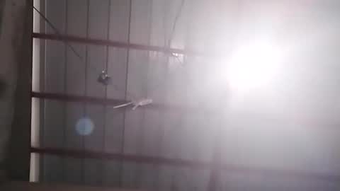 Bella Amor online show from 24, 2, 2026