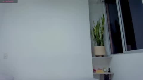 Xavier online show from 11, 11, 2025