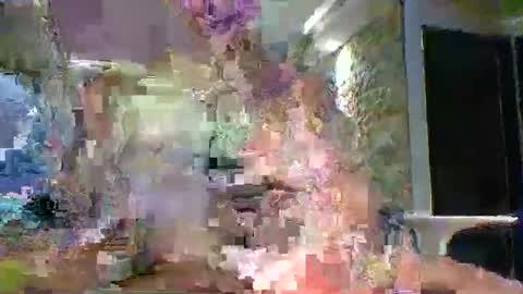 xavii31 online show from 11, 3, 2026