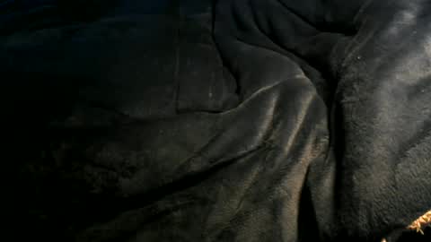 Toke online show from 6, 1, 2025