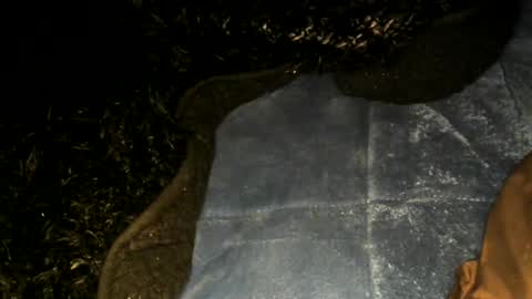 Toke online show from 22, 1, 2025