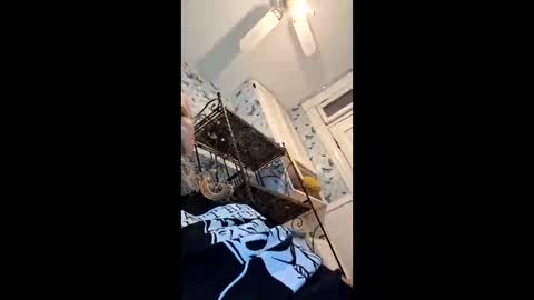 xbillisticx1 online show from 2, 6, 2026
