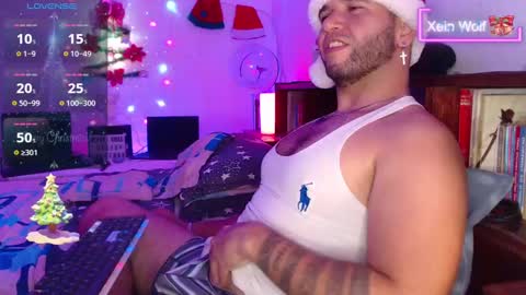 Xein Independent Model online show from 17, 12, 2024