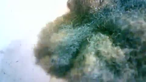 xenna610827 online show from 20, 2, 2025