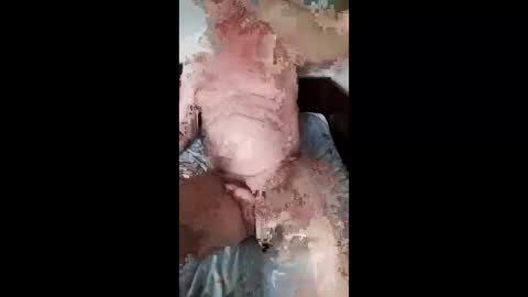 Slava online show from 29, 3, 2026