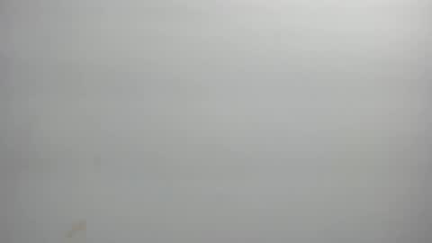 Snapshot of ximena_vasquez8 chatting on 21, 2, 2026 Xime online show from 21, 2, 2026