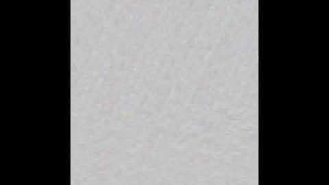 JSSD online show from 8, 3, 2025