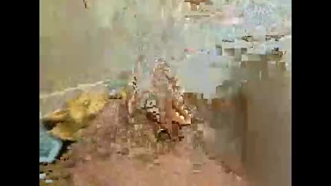 Snapshot of xmark99 chatting on 27, 11, 2025 Jj880 online show from 27, 11, 2025