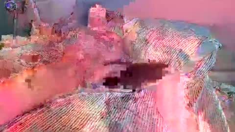 xmilestownsend online show from 16, 12, 2024