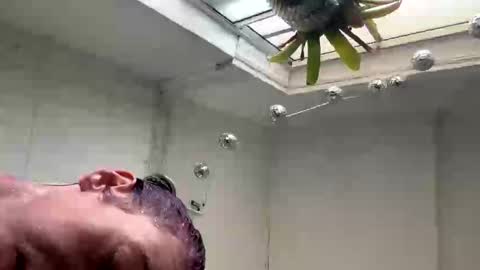 Snapshot of xo_roxie chatting on 14, 9, 2025 xo_roxie online show from 14, 9, 2025