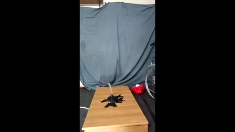 Snapshot of xoomia3 chatting on 10, 1, 2026 xoomia3 online show from 10, 1, 2026