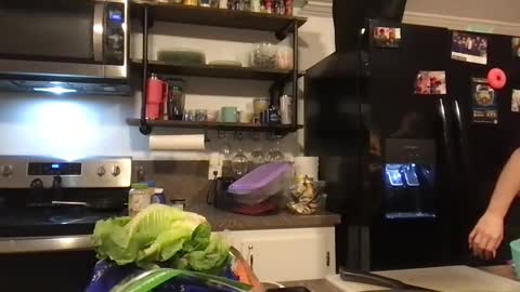 gdamnv online show from 24, 12, 2024