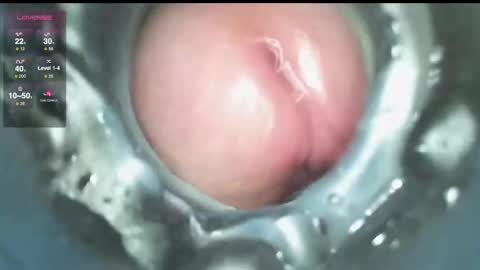 xoxowtf online show from 9, 12, 2024