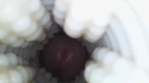 xoxowtf online show from 9, 1, 2026