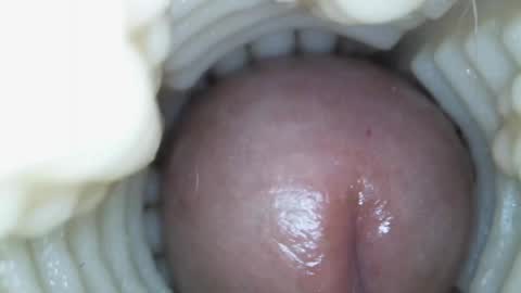 Snapshot of xoxowtf chatting on 15, 3, 2026 xoxowtf online show from 15, 3, 2026