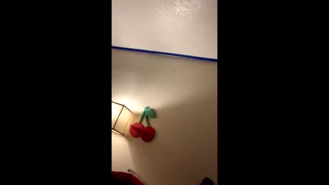 Snapshot of xtika chatting on 19, 1, 2025 xtika online show from 19, 1, 2025