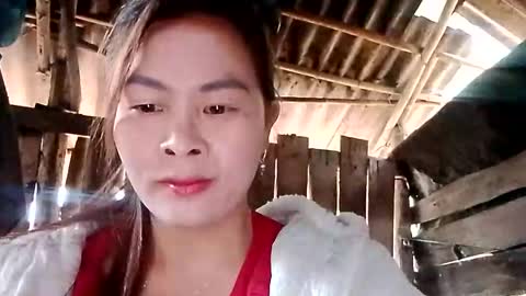 xuxulove00 online show from 11, 1, 2026