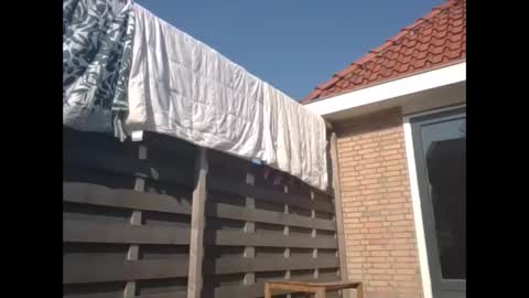 max online show from 9, 3, 2025