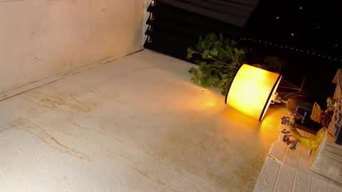 Sophie online show from 19, 10, 2025