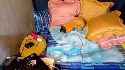 xxloveheart online show from 30, 9, 2025