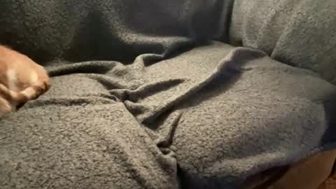 Your Top Favorite online show from 22, 12, 2025