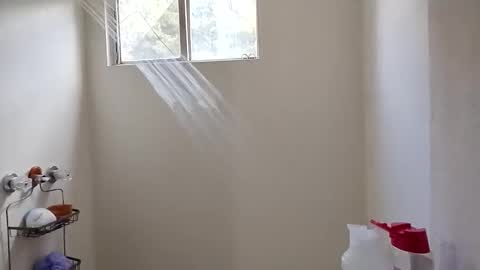 Snapshot of xxxlacylaurent544586 chatting on 26, 9, 2025 xxxlacylaurent544586 online show from 26, 9, 2025