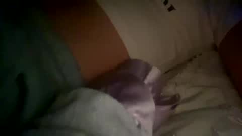 xxxsophiaday online show from 4, 10, 2025