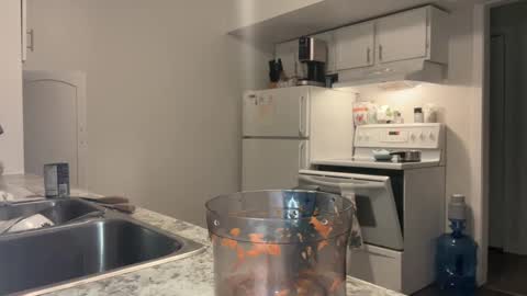 Snapshot of xyleialuv chatting on 22, 2, 2025 Xylea Luv online show from 22, 2, 2025