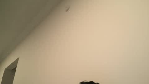 Snapshot of yacout87 chatting on 15, 2, 2025 Dick Ass online show from 15, 2, 2025