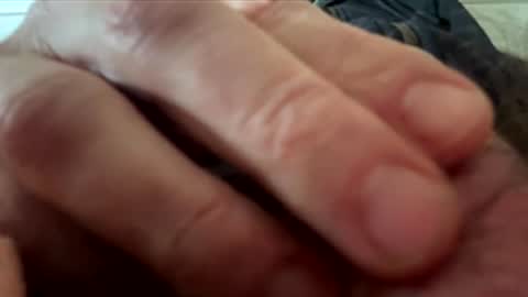 yappe75 online show from 21, 4, 2026