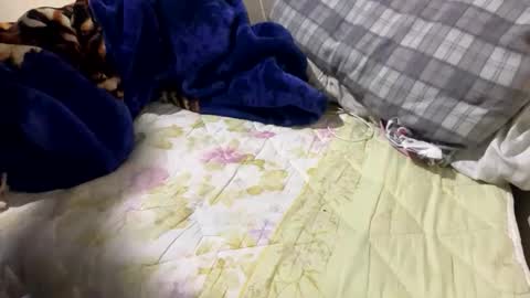 yasarsimo99154258 online show from 23, 2, 2026