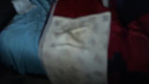 .     y e l l o w s n a k e s       . online show from 3, 11, 2025