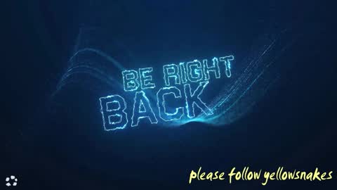 .     y e l l o w s n a k e s       . online show from 7, 2, 2026