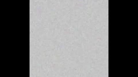 .     y e l l o w s n a k e s       . online show from 15, 3, 2026