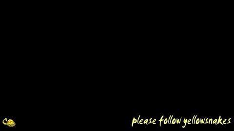 Snapshot of yellowsnakes chatting on 26, 3, 2026 . y e l l o w s n a k e s . online show from 26, 3, 2026