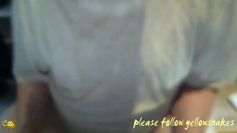 Snapshot of yellowsnakes chatting on 1, 4, 2026 . y e l l o w s n a k e s . online show from 1, 4, 2026