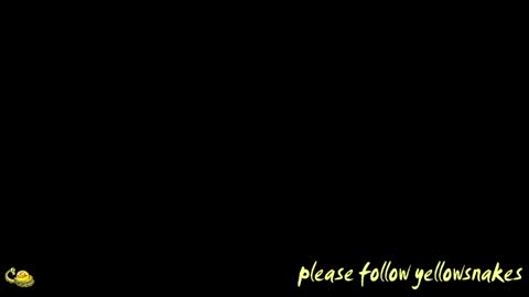 Snapshot of yellowsnakes chatting on 13, 4, 2026 . y e l l o w s n a k e s . online show from 13, 4, 2026