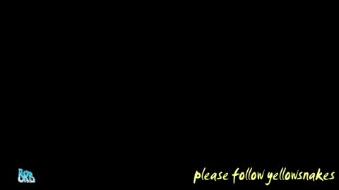 Snapshot of yellowsnakes chatting on 12, 5, 2026 . y e l l o w s n a k e s . online show from 12, 5, 2026