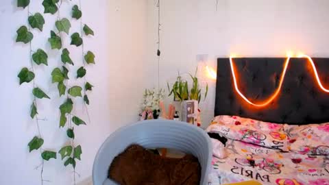 YEM online show from 11, 6, 2026