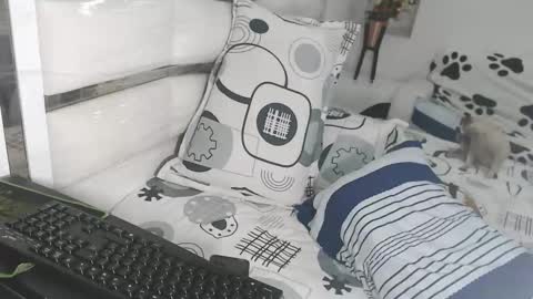 YINAROSS online show from 10, 3, 2026