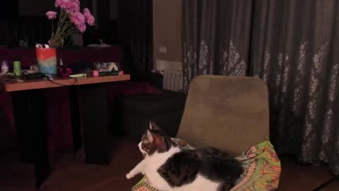 Snapshot of yoga_pizza_420 chatting on 14, 11, 2025 Max online show from 14, 11, 2025