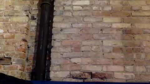Snapshot of yogagirl777 chatting on 26, 1, 2025 Ann Marie online show from 26, 1, 2025