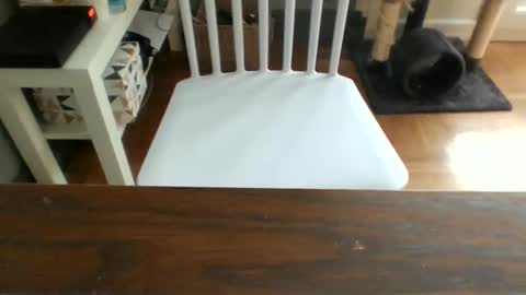 y9551 online show from 25, 10, 2025