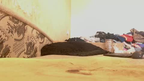 Snapshot of your_emilygush chatting on 29, 6, 2026 Emily online show from 29, 6, 2026